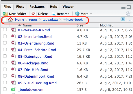 RStudio Filebrowser im Projekt dieser Einführung